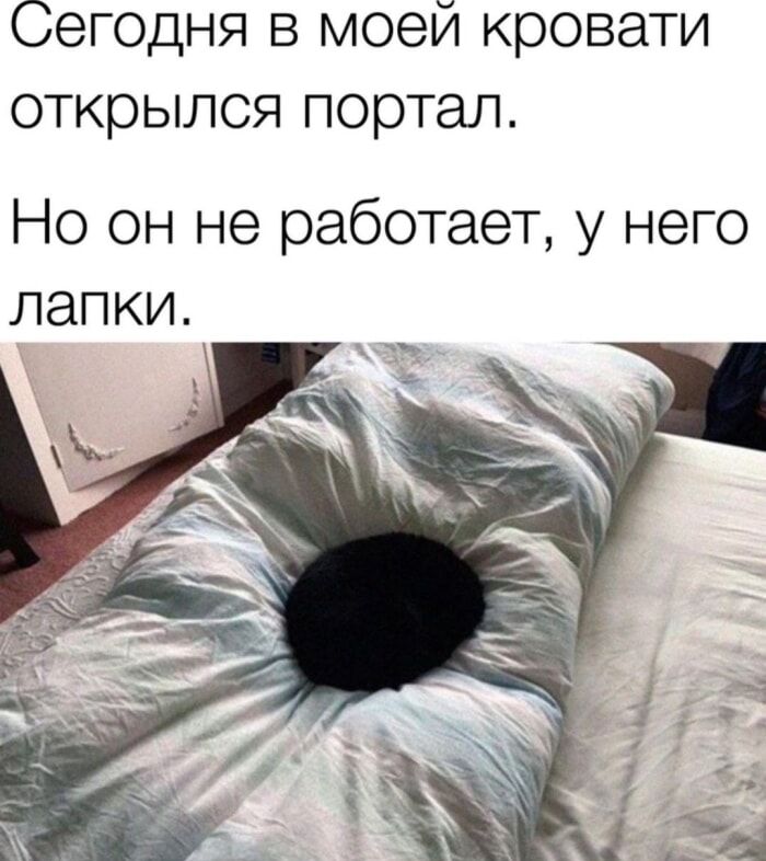Сегодня в моей кровати открылся портал. Но он не работает, у него лапки.