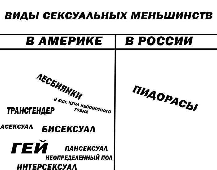 ВИДЫ СЕКСУАЛЬНЫХ МЕНЬШИНСТВ
В АМЕРИКЕ           В РОССИИ
ЛЕСБИЯНКИ            ПИДОРАСЫ
ТРАНСГЕНДЕР
АСЕКСУАЛ
БИСЕКСУАЛ
ГЕЙ
ПАНСЕКСУАЛ
НЕОПРЕДЕЛЕННЫЙ ПОЛ
 ИНТЕРСЕКСУАЛ