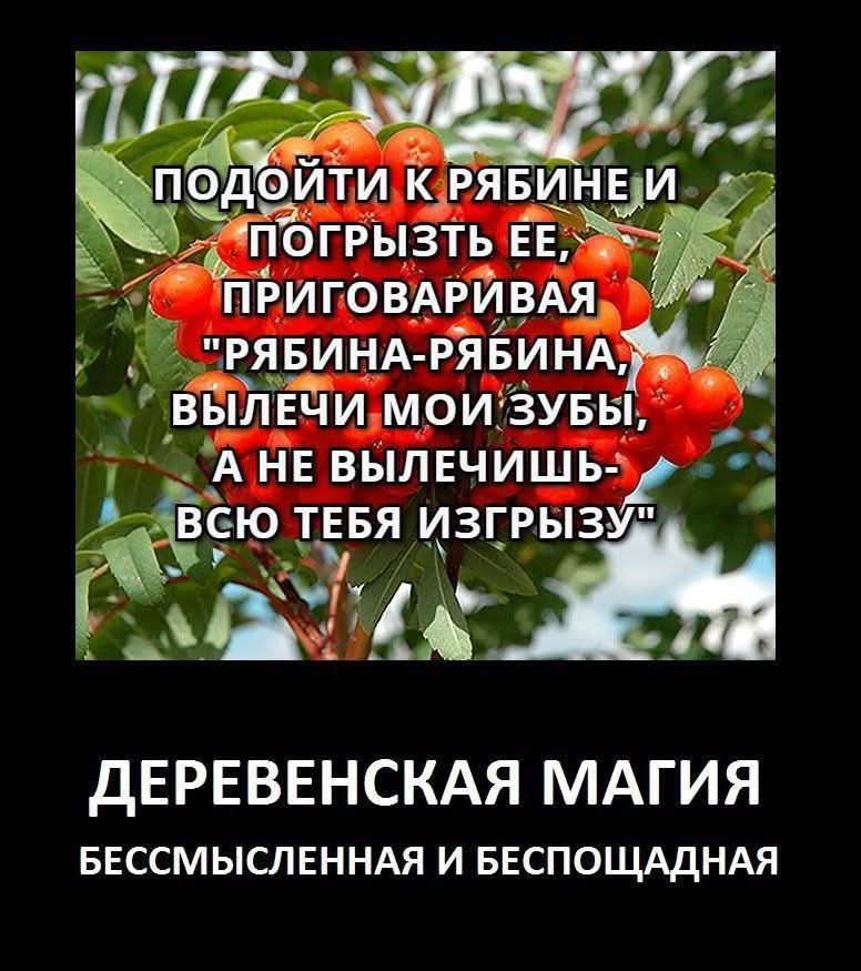ПОДОЙТИ К РЯБИНЕ И ПОГРЫЗЬТЬ ЕЕ, ПРИГОВАРИВАЯ 