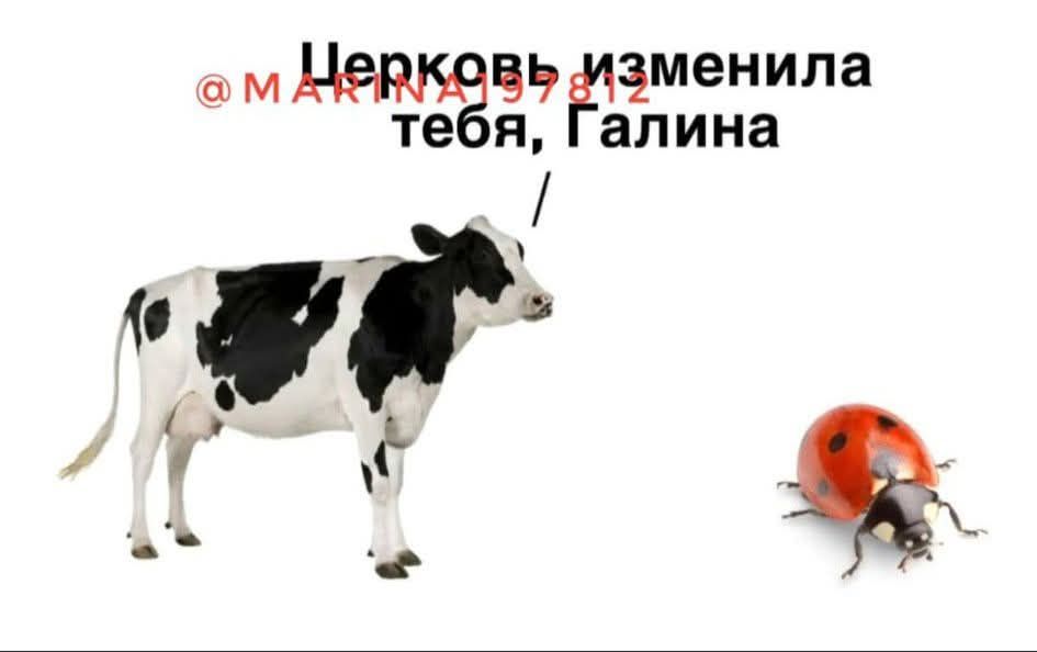 Цепковь изменила тебя, Галина