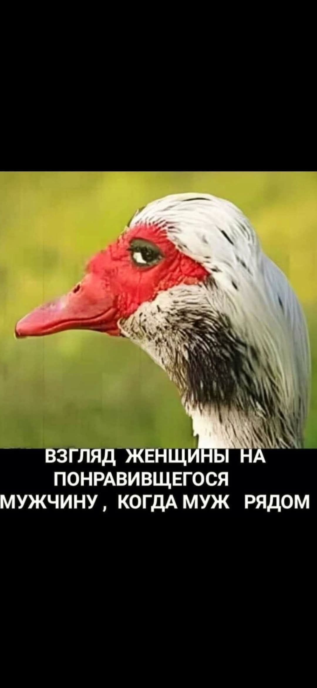 ВЗГЛЯД ЖЕНЩИНЫ НА ПОНРАВИВШЕГОСЯ МУЖЧИНУ, КОГДА МУЖ РЯДОМ