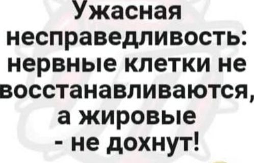 Ужасная несправедливость: нервные клетки не восстанавливаются, а жировые - не дохнут!