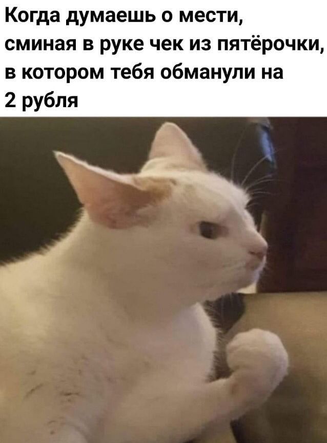 Когда думаешь о месте, сжимая в руке чек из пятёрочки, в котором тебя обманули на 2 рубля