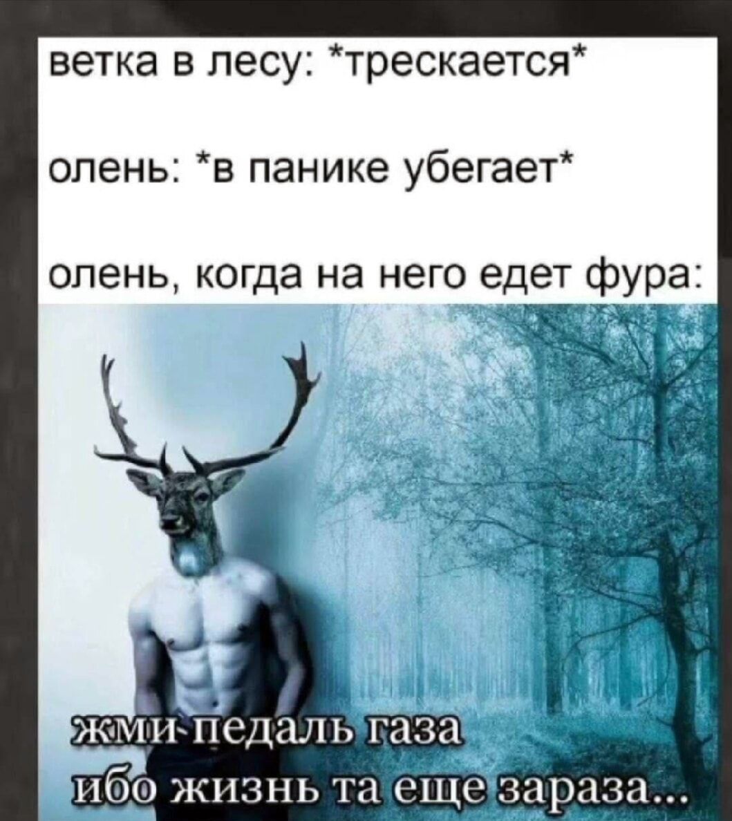 ветка в лесу: *трескается*
олень: *в панике убегает*
олень, когда на него едет фура:
жми педаль газа ибо жизнь та еще зараза...