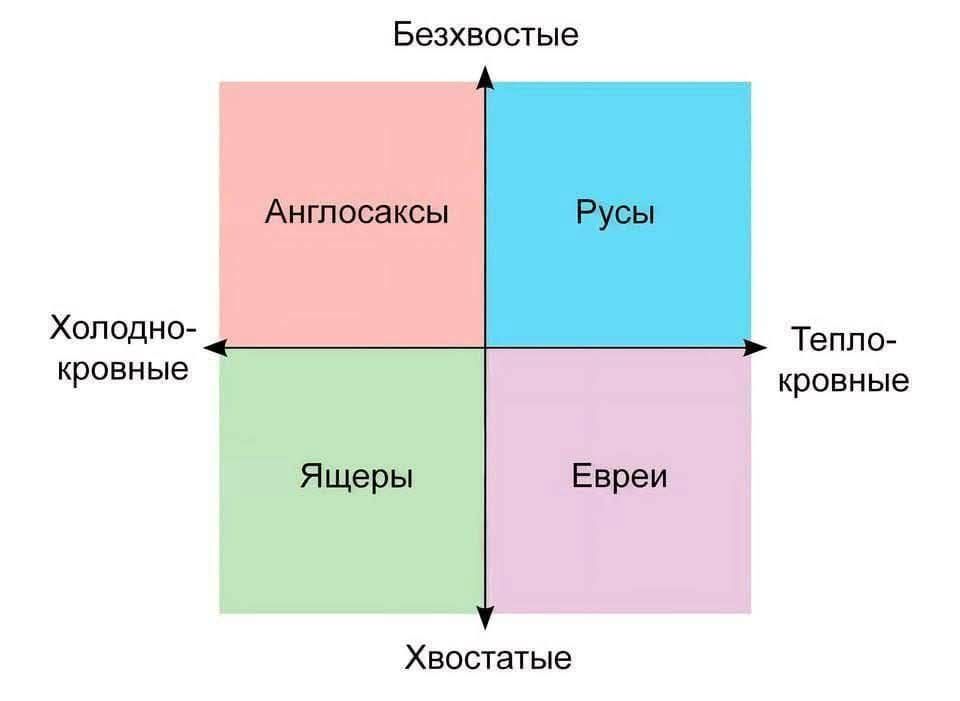 Холодно-
кровные

Тепло-
кровные.

Хвостатые
