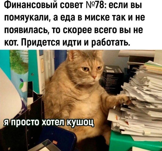 Финансовый совет №78: если вы помяукали, а еда в миске так и не появилась, то скорее всего вы не кот. Придется идти и работать.

я просто хотел кушоч.