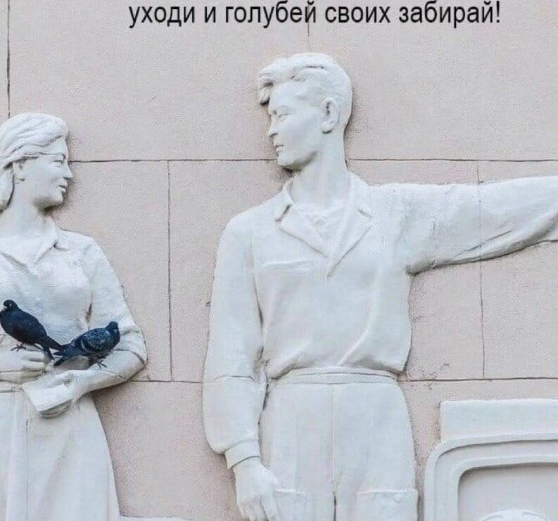 уходи и голубей своих забирай!