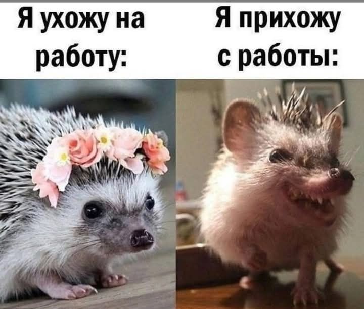 Я ухожу на работу:
Я прихожу с работы:
