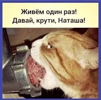 Живём один раз! Давай, крути, Наташа!