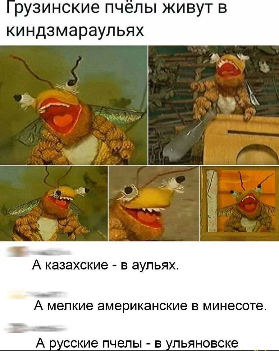 Грузинские пчёлы живут в киндзмараулиях
А казахские - в аульях.
А мелкие американские в минесоте.
А русские пчёлы - в ульяновске.