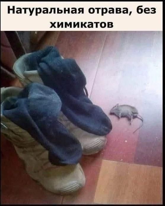 Натуральная отрава, без химикатов