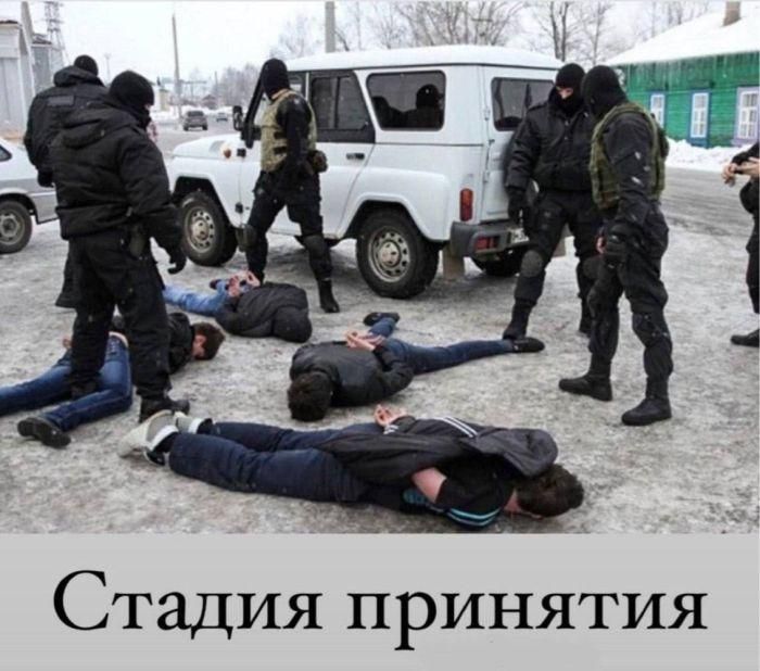 Стадия принятия