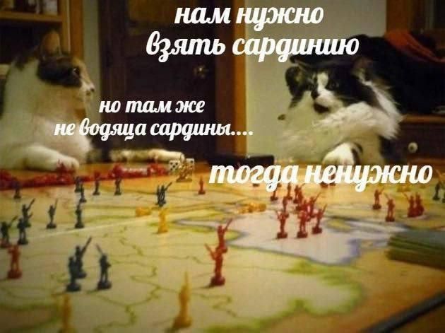 нам нужно взять сардину
но там же не водится сардина....
тогда не нужно