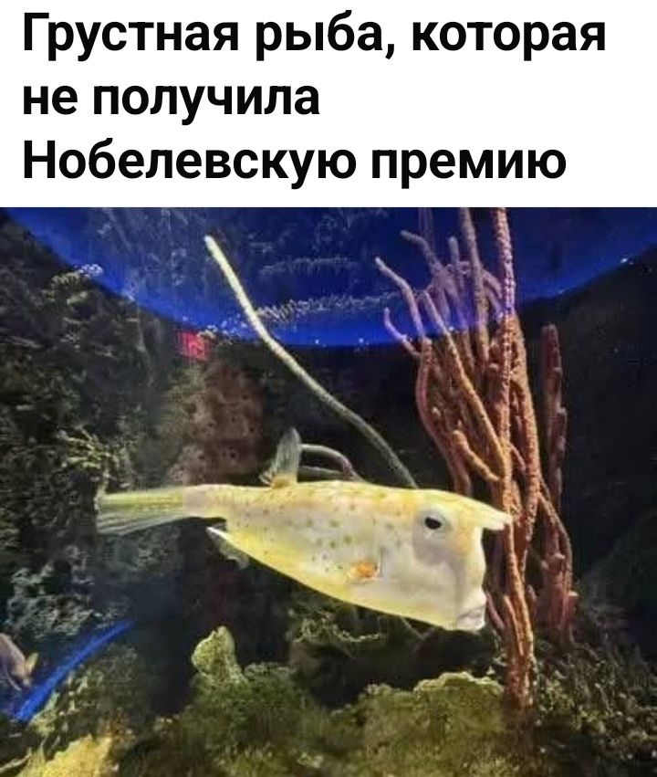Грустная рыба, которая не получила Нобелевскую премию