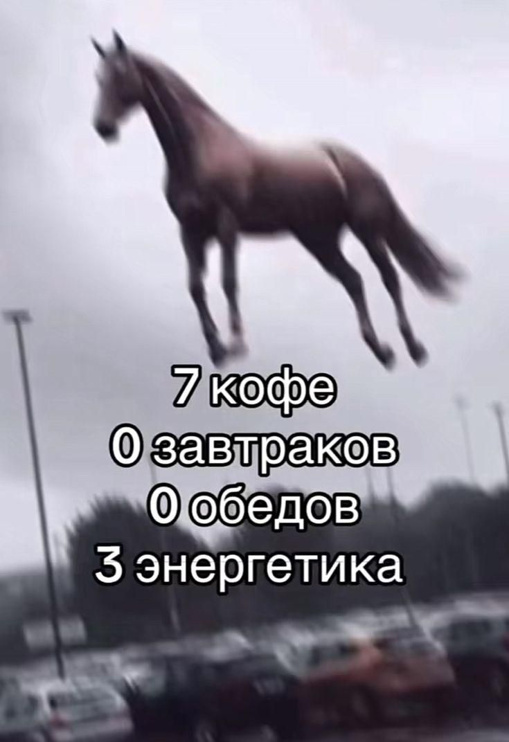 7 кофе 0 завтраков 0 обедов 3 энергетика