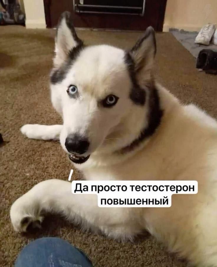 Да просто тестостерон повышенный