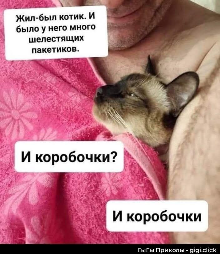 Жил-был котик. И было у него много шелестящих пакетиков. И коробочки? И коробочки