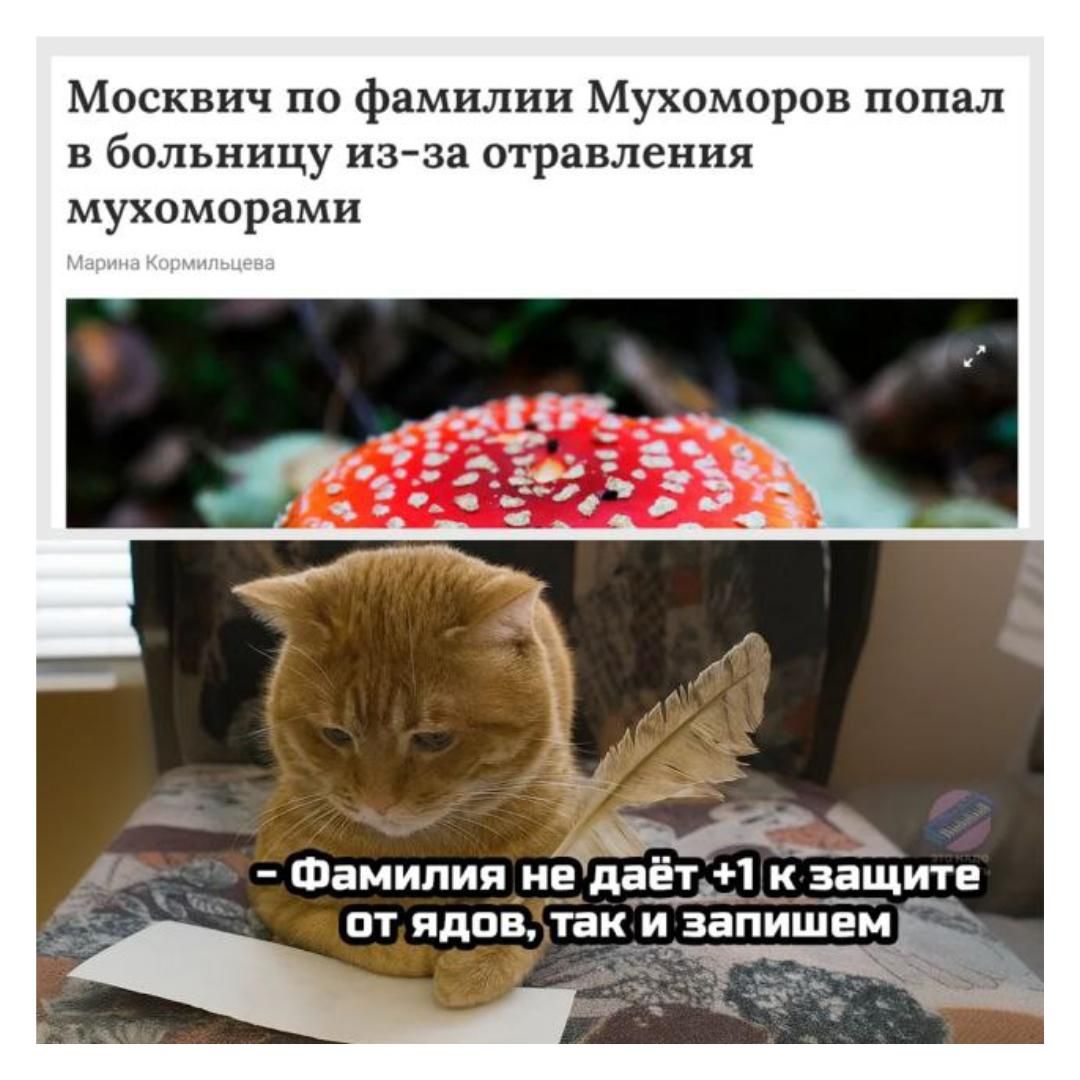 Москвачиk по фамилии Мухоморов попал в больницу из-за отравления мухоморами
- Фамилия не даёт +1 к защите от ядов, так и запишем