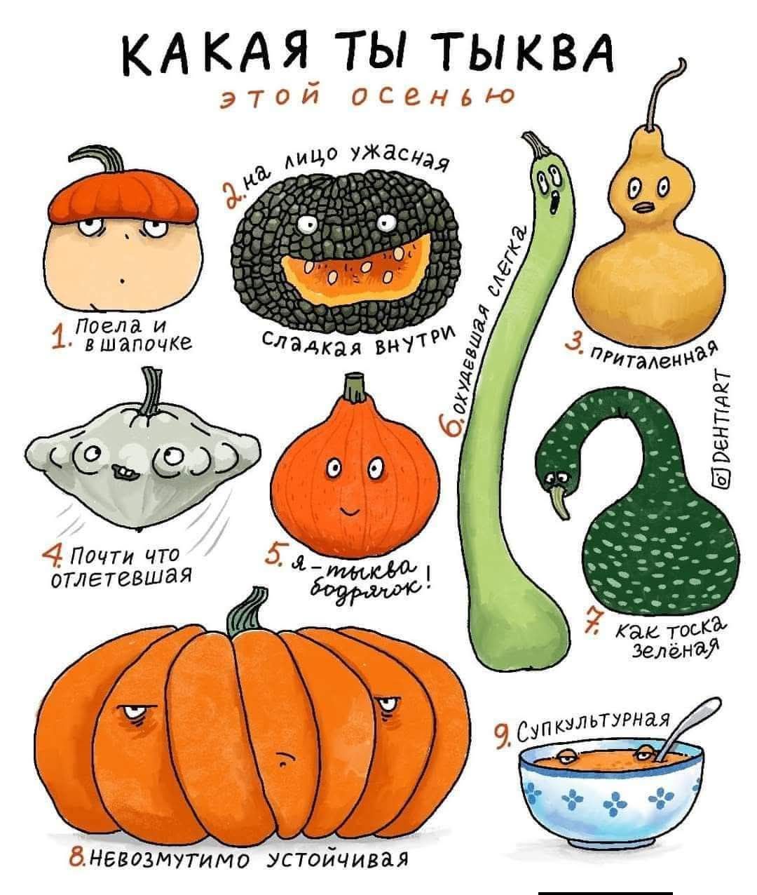 Какая ты тыква этой осенью. 1. Поел и в шапочке; 2. на лицо ужасная; 3. приталенная; 4. почти что отлетевшая; 5. я — тыква-гордость; 7. как тоска зелёная; 9. супкультурная.