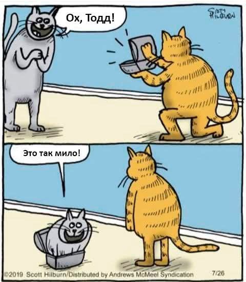 Ох, Тодд!
Это так мило!