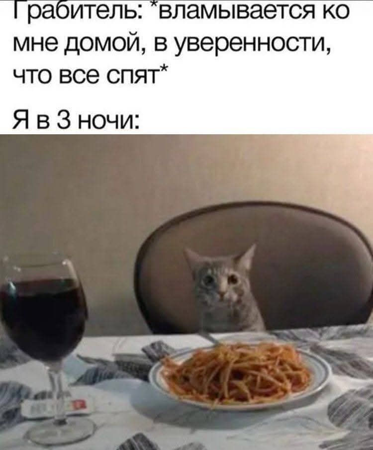 Грабитель: *вламывается ко мне домой, в уверенности, что все спят* Я в 3 ночи: