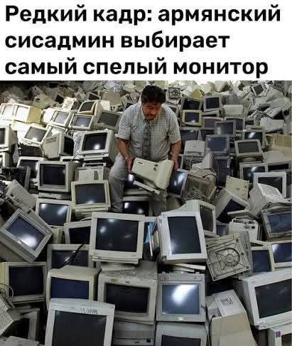 Редкий кадр: армянский сисадмин выбирает самый спелый монитор