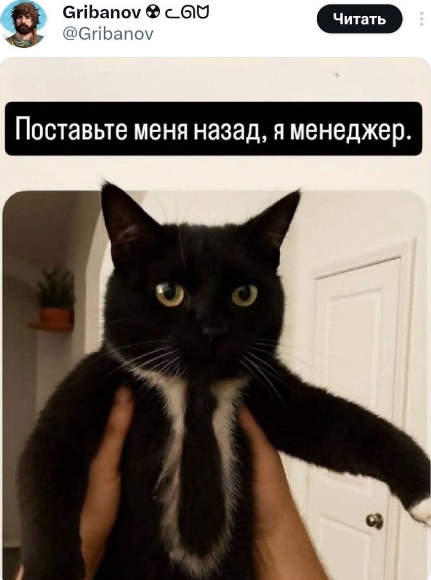 Поставьте меня назад, я менеджер.