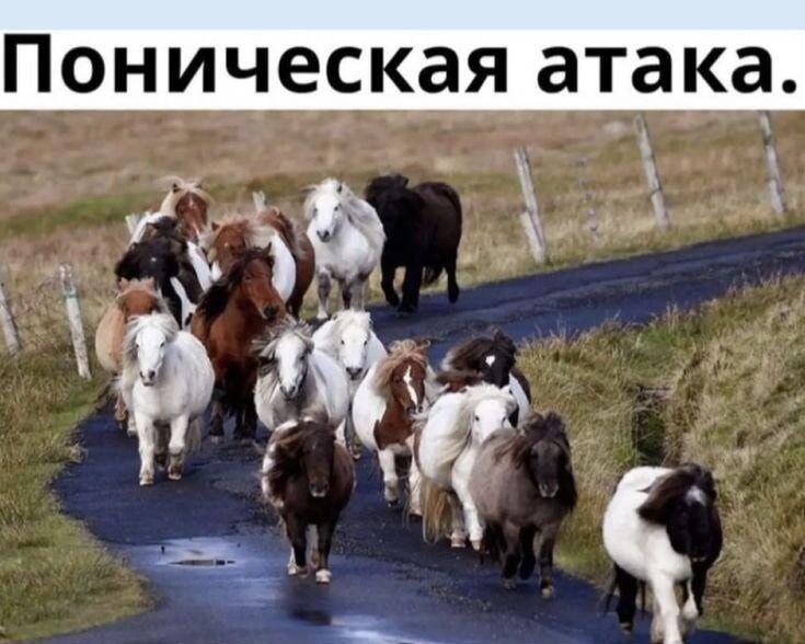 Поническая атака.