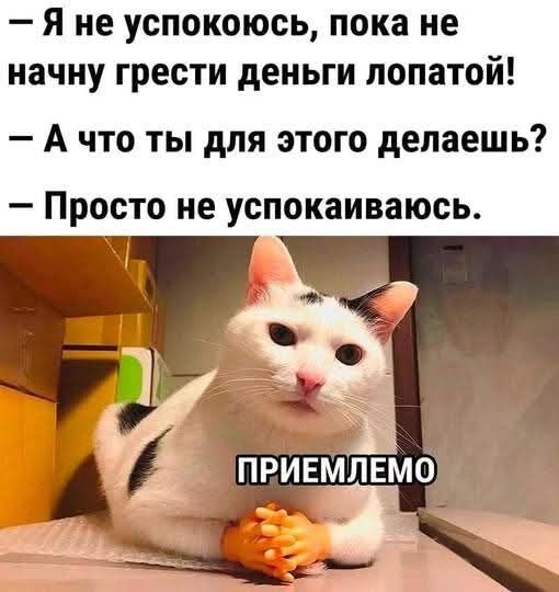 Я не успокоюсь, пока не начну грести деньги лопатой! А что ты для этого делаешь? Просто не успокаиваюсь. ПРИЕМЛЕМО
