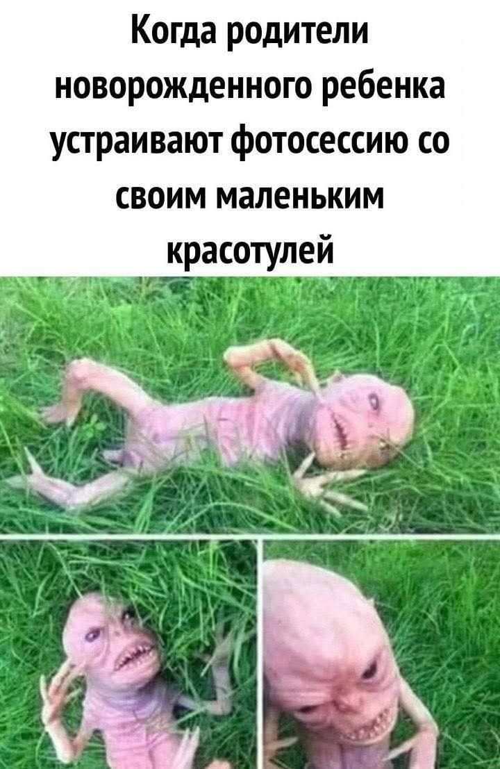 Когда родители новорожденного ребенка устраивают фотосессию со своим маленьким красотулей