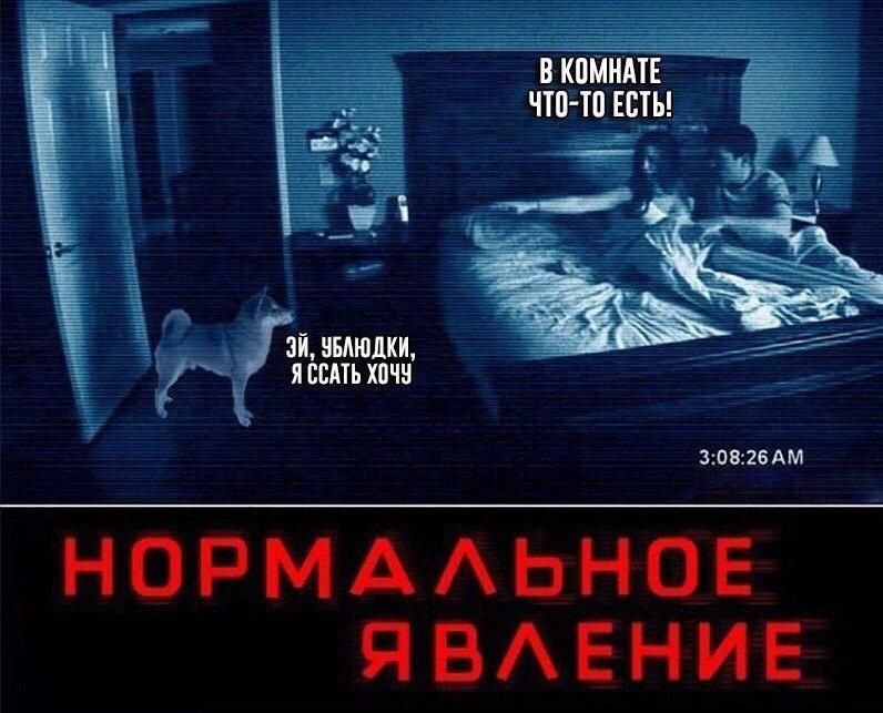 В комнате что-то есть! Эй, уйдоки, я спать хочу