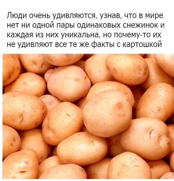 Люди очень удивляются, узнав, что в мире нет ни одной пары одинаковых снежинок и каждая из них уникальна, но почему-то их не удивляют все те же факты с картошкой