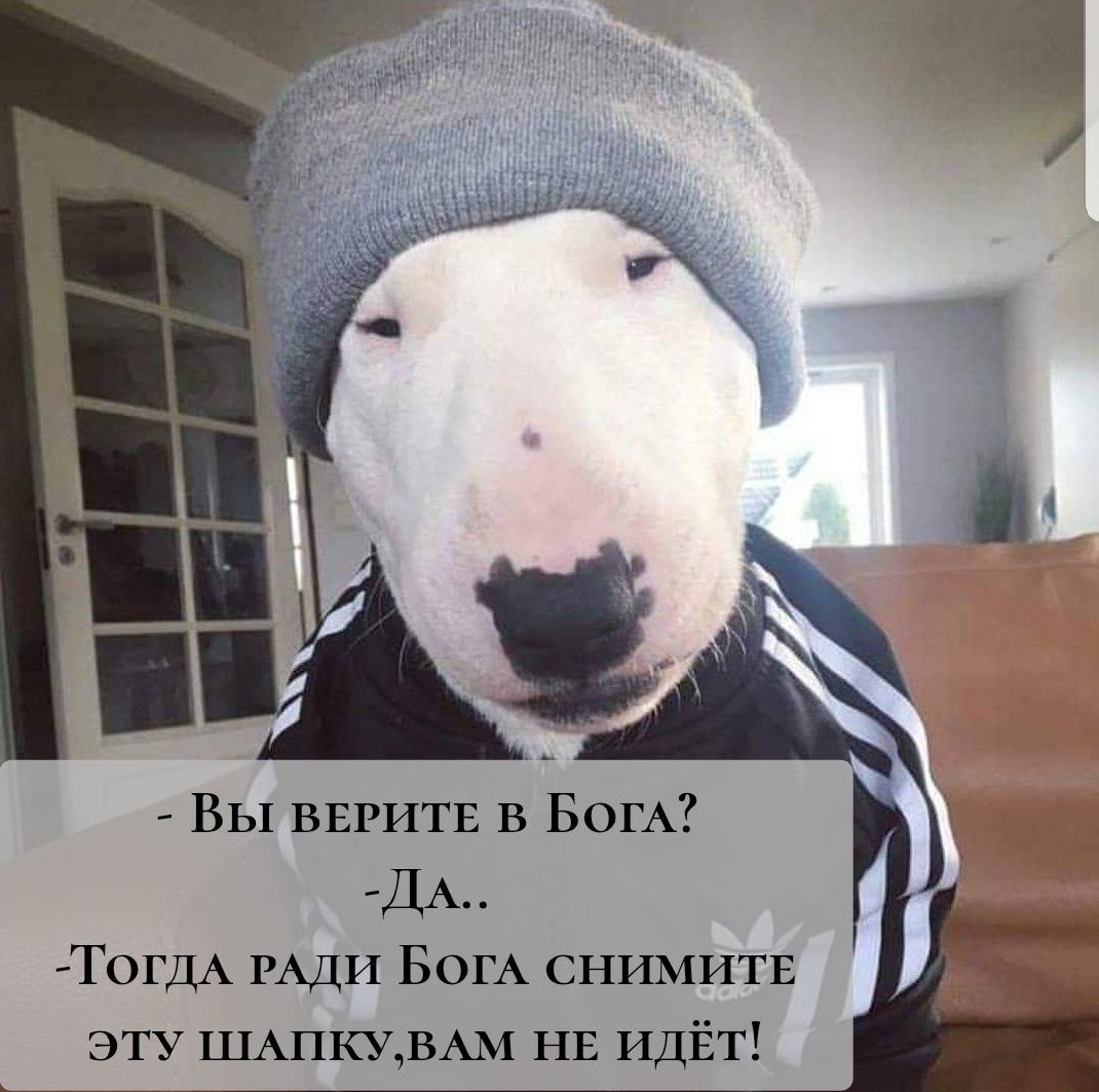 - Вы верите в Бога? - Да.. - Тогда ради Бога снимите эту шапку, вам не идёт!