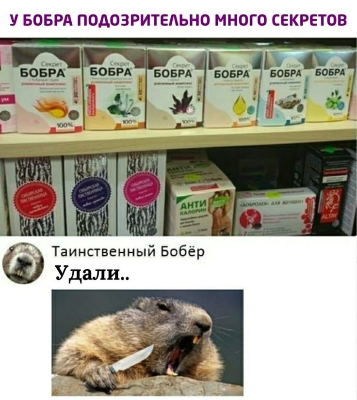 У Бобра ПОДОЗРИТЕЛЬНО МНОГО СЕКРЕТОВ
Таинственный Бобёр
Удалил..