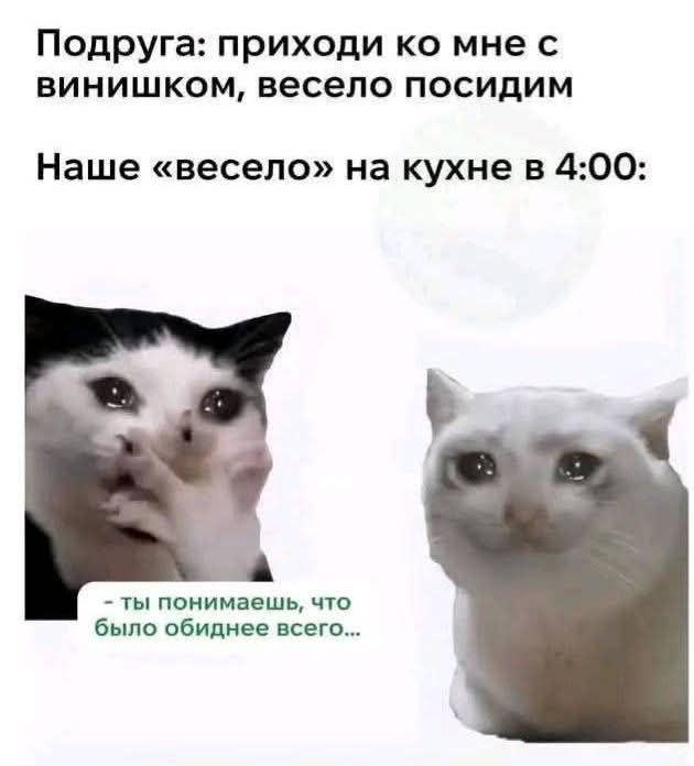 Подруга: приходи ко мне с винюшком, весело посидим\nНаше «весело» на кухне в 4:00:\n- ты понимаешь, что было обиднее всего...