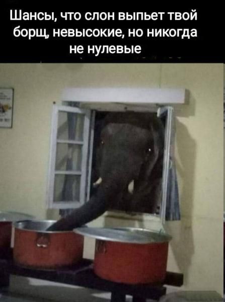 Шансы, что слон выпьет твой борщ, невысокие, но никогда не нулевые