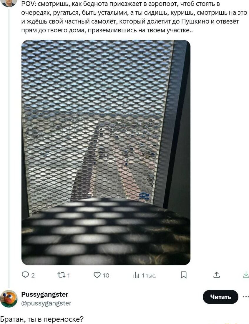 POV: смотришь, как бедняка приезжает в аэропорт, чтобы стоять в очередях, ругаться, быть усталым, а ты сидишь, куришь, смотришь на это и ждёшь свой частный самолёт, который долетит до Пушкино и отвезёт прям до твоего дома, приземлившись на твоём участке..