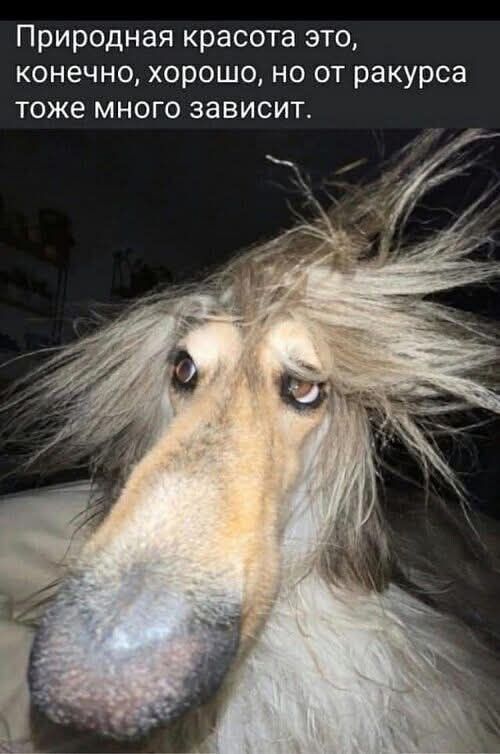 Природная красота это, конечно, хорошо, но от ракураса тоже много зависит.