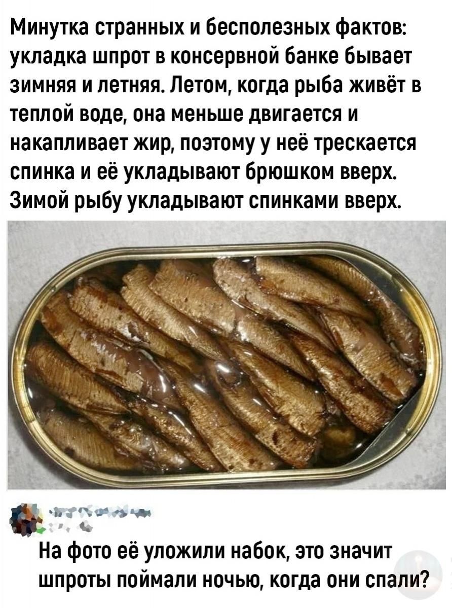 Минутка странных и бесполезных фактов: укладка шпрот в консерве бывает зимняя и летняя. Летом рыба в тёплой воде движется меньше, набирает жир, поэтому спина трещит и её кладут брюшком вверх; зимой — спинками вверх. На фото уложили набок; значит шпроты пойманы ночью?