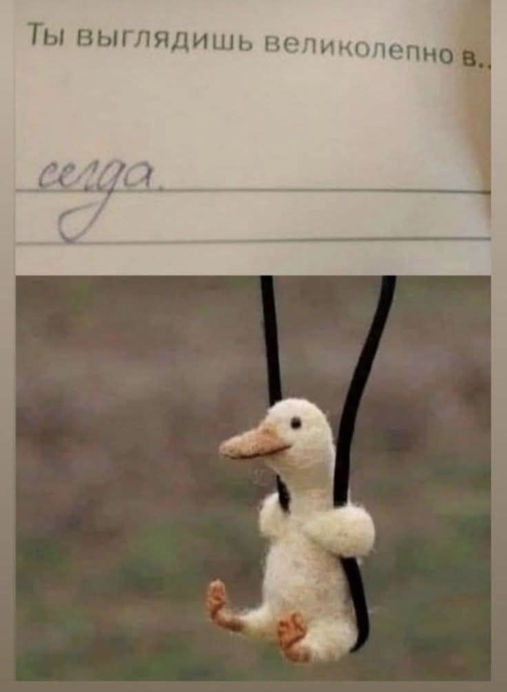 Ты выглядишь великолепно в... сегодня