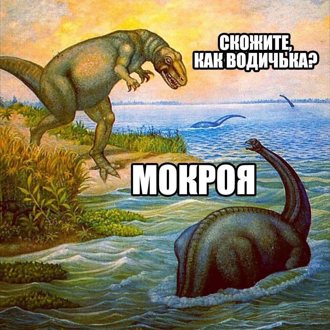 Скажите, как водичка? МОКРОЯ