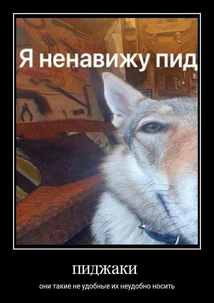 Я ненавижу пид

ПИДЖАКИ
они такие не удобные их не удобно носить