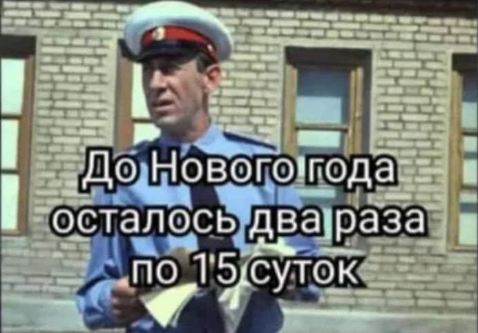 До Нового года осталось два раза по 15 суток
