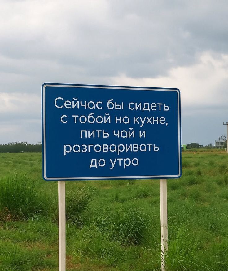 Сейчас бы сидеть с тобой на кухне, пить чай и разговаривать до утра