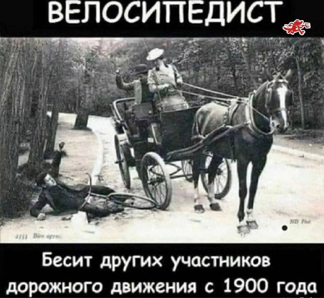 ВЕЛОСИПЕДИСТ
Бесит других участников дорожного движения с 1900 года