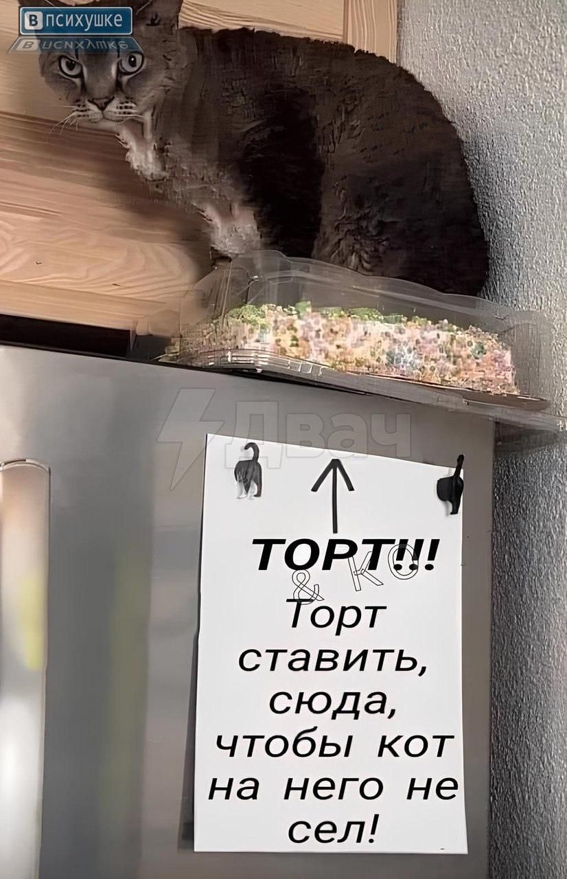 ТОРТ!! Торт ставить, сюда, чтобы кот на него не сел!