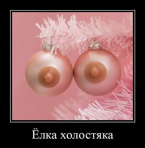 Ёлка холостяка