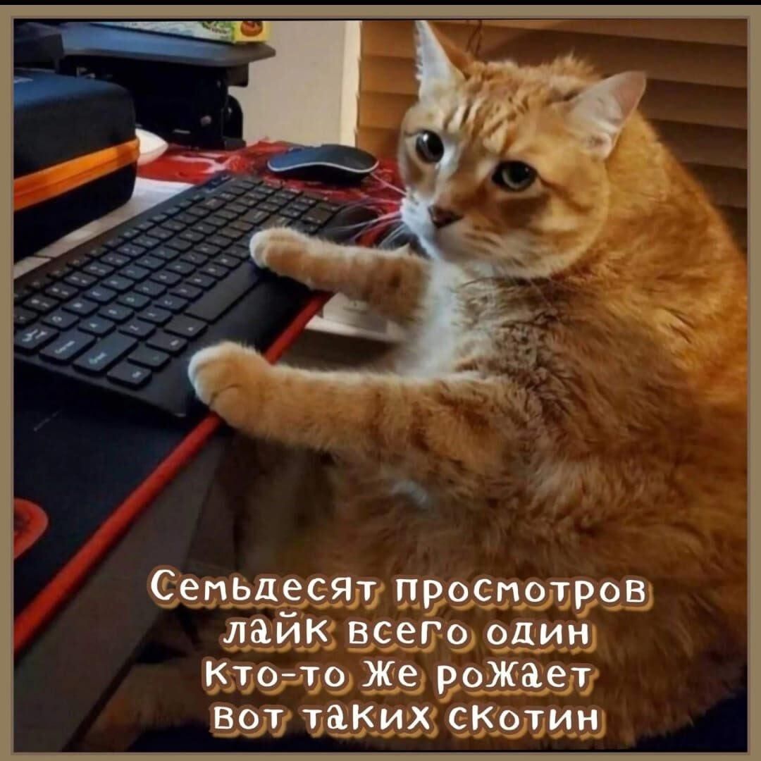 Сельсяят просмотр лайк всего один кто-то же рожает вот таких скотин