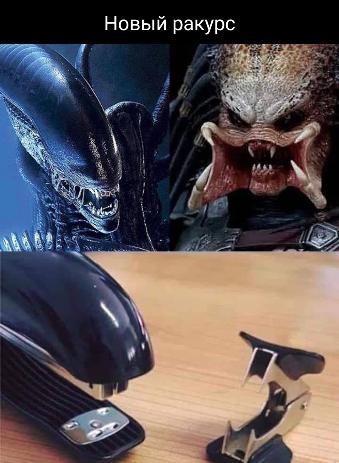 Новый ракурс