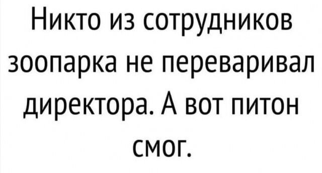 Никто из сотрудников зоопарка не переваривал директора. А вот питон смог.